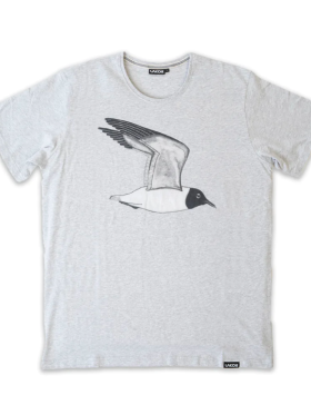 Lakor - Hooded Seagull