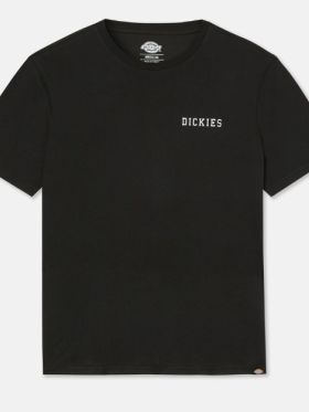 Dickies - CLEVELAND TEE LS