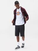 Dickies - NEW SACRAMENTO SHIRT