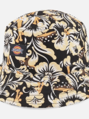 Dickies - ROSEBURG