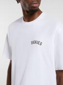 Dickies - Snake SS Tee White
