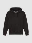 Dickies - PLENTYWOOD HOODIE