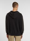 Dickies - PLENTYWOOD HOODIE