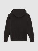 Dickies - PLENTYWOOD HOODIE