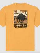 Dickies - DARRTOWN SS TEE SUNFLOWER