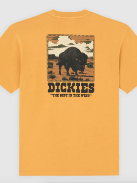 Dickies - DARRTOWN SS TEE SUNFLOWER