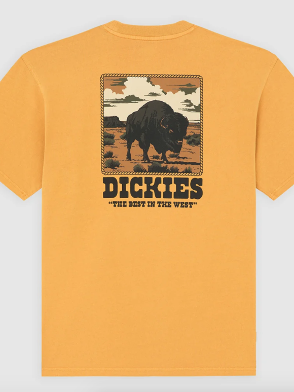 Dickies - DARRTOWN SS TEE SUNFLOWER