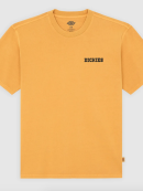 Dickies - DARRTOWN SS TEE SUNFLOWER