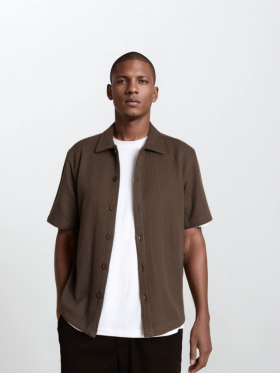 Plenum Studio - Carlo Wave