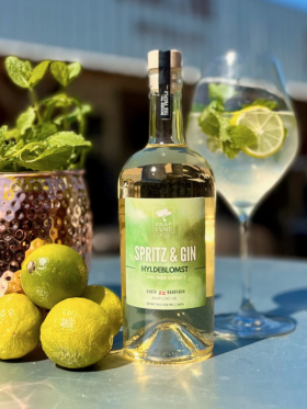 Knaplund - Spritz Hyldeblomst 500ml 28%