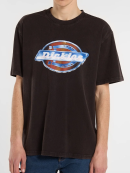 Dickies - COOLIDGE SS TEE