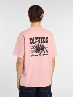 Dickies - BUCKTELL SS TEE
